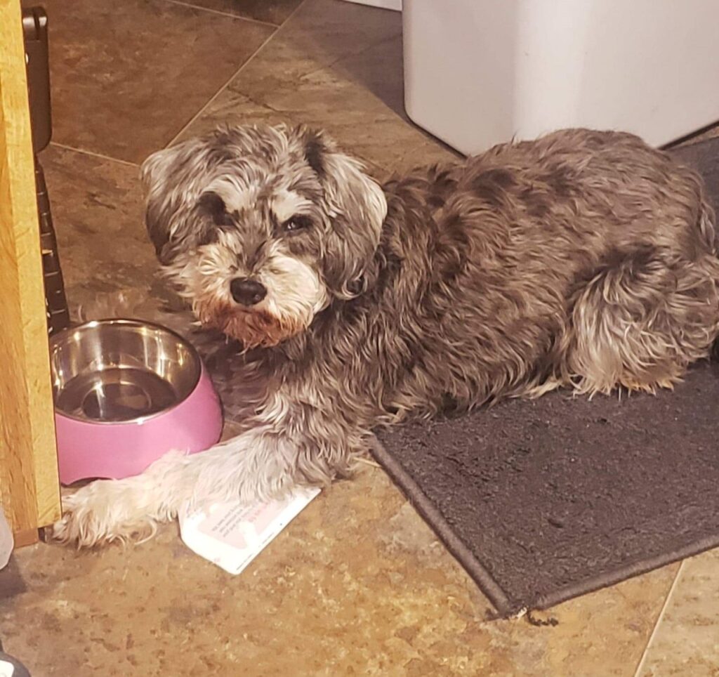Trouble waiting for food